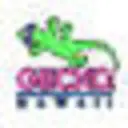 Gecko Clothing